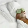 Gokcatadm