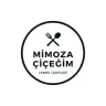 MimozaCicegimYoutube