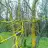 Sabir_59