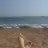 SriLanka