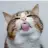 Smellycatt