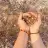 Hly_19