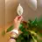 Ceycey2136