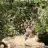 hanifee_el