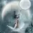 Moonlight01554