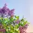 metk-