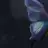 Floryy