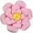 pinkflowerrr