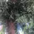 atametefe