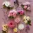 thelovespring
