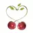 cherryseason