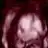 bahar_buket