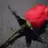 evra_su