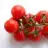 tomatis