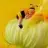 fatma_41