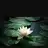 falling_water