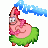orkide_