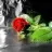 Tatli_tugce