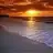 filiz7381