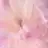 ayche