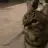 2ba-