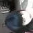 suannacats
