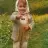 anurcan
