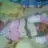 esmerr338