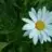 seyhan12383
