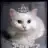 Ladykedi