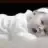 baby1