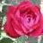 _Zeynebim_