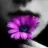 Didlle