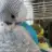 cookie_1998