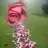 tebessum_
