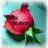 selda_selda