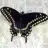 lilithse