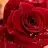 uzay78
