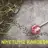 nartanem86