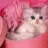 damla2626