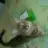 ananee