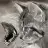 Tinnycat