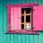 pinkwindow