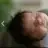 askperest