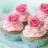 cuupcake