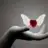 banu_cb