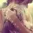 helin008