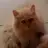 yeber