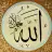 eftelya3587