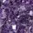 shreya181